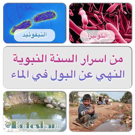 التيفوئيد أو حمي التيفود typhoid fever هو مرض معدي ينتج من أكل أو شرب المواد الملوثة ببكتيريا هذا المرض. Pin on ديننا الحنيف