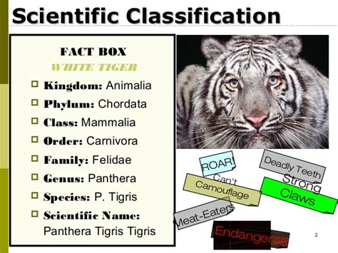 English as a second language (esl) Stefan biodiversity slides ppt