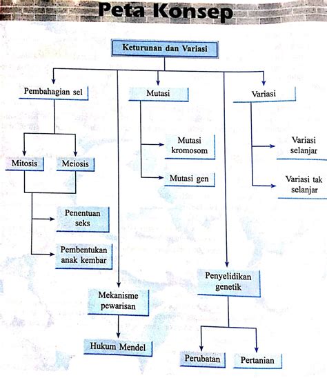 Sains peta minda tingkatan 2. lilyeducation: Peta Minda Sains Tingakatan 4 (Buku Teks)