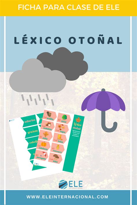 The sky is clear despejado k. Infografía sobre el tiempo meteorológico. Ficha para ...