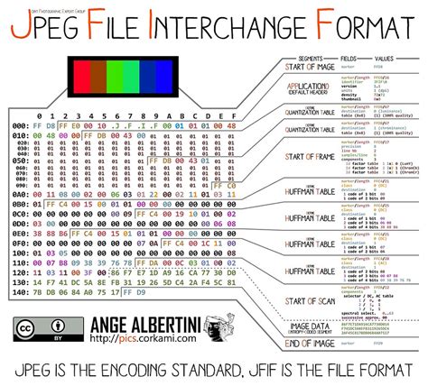 Joint photographic experts group file format. JPEG Repair Service - Fix corrupt JPEG Files. Restore ...