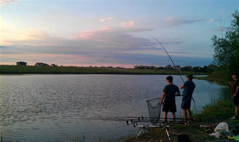 Corbeanca, ostratu, petrești and tamași. Balta Corbeanca Pescarium, pescuit Balta Corbeanca ...