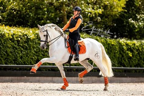 Toen ontpopte rob kemps zich in alle opzichten tot de grote winnaar van het seizoen. Britt Dekker on Instagram: "Ferrari 3.0 🧡" | Paarden ...