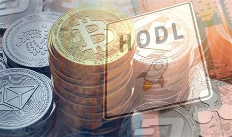 This is the website where most users end up to compare cryptocurrency valuations. What Does HODL Mean? Cryptocurrency Lingo Explained • Blocklr