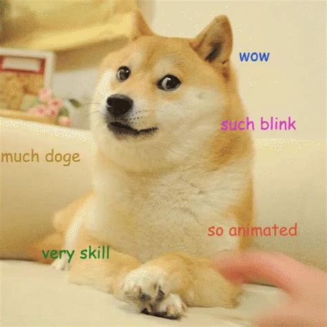 Doge dog gifs, reaction gifs, cat gifs, and so much more. Doge Meme GIFs | Tenor