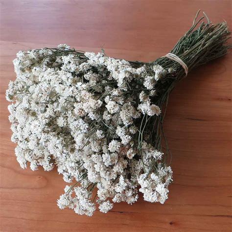 The boquet of flowers requires some of the flowers that can be foraged from bushes. Dried Achillea The Pearl, 30 Bunches