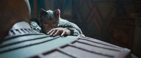 Ver cats2019 en repelis online una tribu de gatos llamados los jellicles debe decidir anualmente cuál de ellos ascenderá a la capa heaviside y así poder regresar a una nueva vida jellicle. Opinión de la película musical Cats (2019) . Dirigida por ...