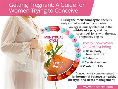 If you're trying to get pregnant or plan to start trying soon, focus on eating whole, unprocessed food. Getting Pregnant: A Guide for Women Trying to Conceive ...