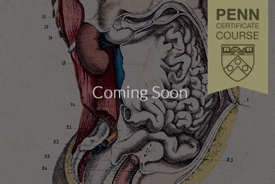 Common incisions and closure techniques. Abdominal Anatomy