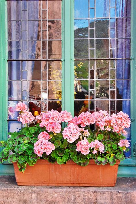 An easy diy windowsill herb garden. Window box ideas | Windowsill garden, Window box, Red ...