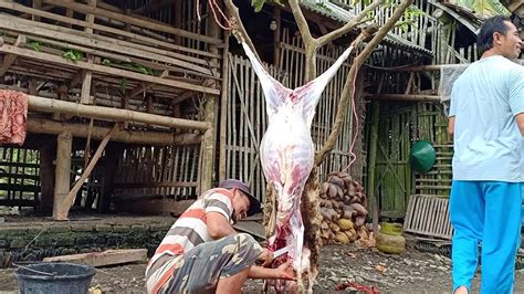 Berikut cara memotong ayam menjadi 4, 8, dan 18 bagian. Ahlinya Ahli | Cara Potong Daging Kambing Sampai Selesai ...