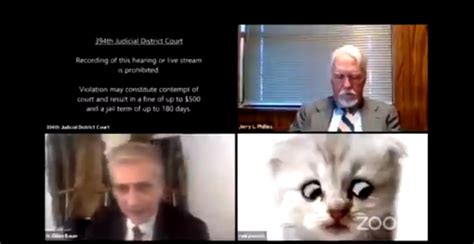 In the video which has been viewed by millions of internet users. VIDEO: 'I Am Not a Cat,' Lawyer Using Filter On A Zoom ...