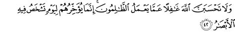 اللَّهُ يَحْكُمُ بَيْنَكُمْ يَوْمَ الْقِيَامَةِ فِيمَا كُنْتُمْ فِيهِ تَخْتَلِفُونَ ﴾ [الحج: Сура 14. Авраам, 42-й аят.