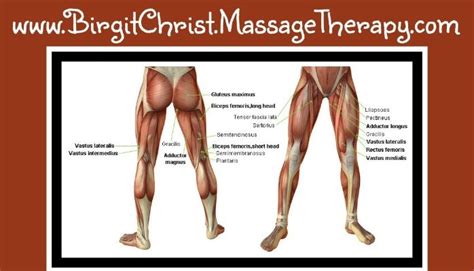 I went to my doctor and with he immediately diagnosed me. Adductor Longus Muscle: Groin, Thigh, Hip Joint, Knee Pain..