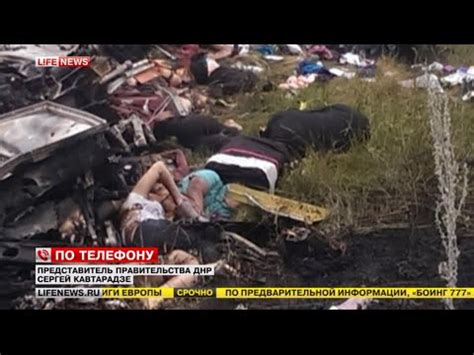 【閲覧注意】マレーシア航空機の墜落現場の生々しい映像 - YouTube