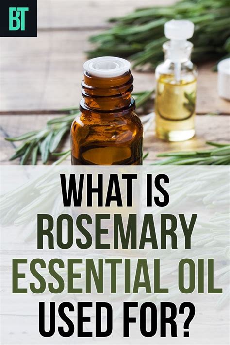 Please note that this link will take you to an external site. Rosemary Essential Oil: Health Benefits & Uses for Skin ...