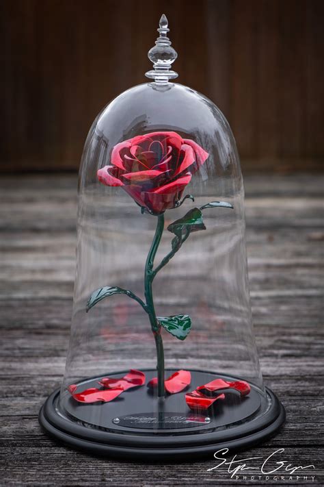 The Enchanted Aluma Rose