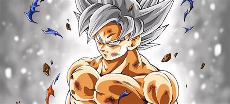 The main character is kakarot, better known as goku, a representative of the sayan warrior race, who, along with other fearless heroes, protects the earth from all kinds of villains. Dragon Ball Xenoverse 2: New Perfect Ultra Instinct Goku ...