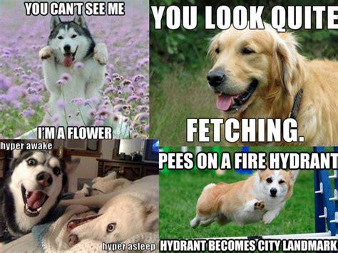 There is no clear rhyme scheme in the poem. 19 Funny Dogs Meme That Make You Laugh All Day | MemesBoy