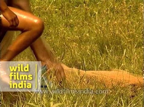 26 años nudista en cdmx. Village boys fishing in a pond in West Bengal - YouTube