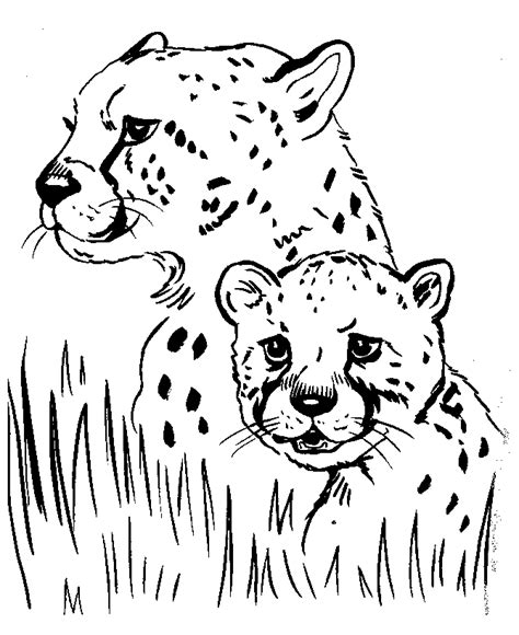 In this fun 2 draw video, she shows you how to draw a cute cartoon baby cheetah cub step by step. Free Printable Cheetah Pictures, Download Free Clip Art, Free Clip Art on Clipart Library