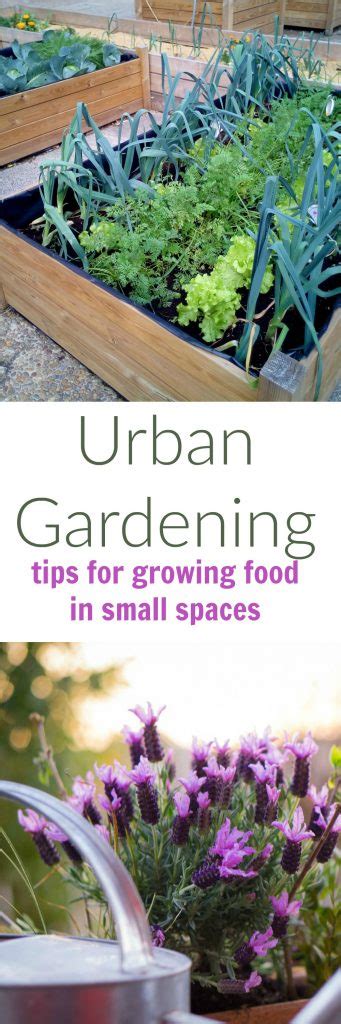 Make a recycled window shutter plant rack 14 photos. Urban Gardening Ideas for Small Spaces - Turning the Clock Back