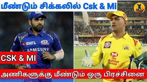 Unlike other crickets, they do not have wings as adults. IPL auction 2020: Csk and Mi bad news | Rashid Khan camel ...