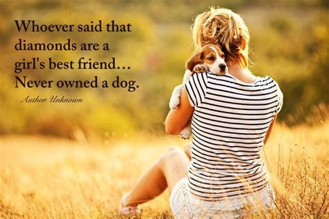 We do this with marketing and advertising partners (who may have their own information they've collected). whoever said diamonds are a girl best friend never owned a dog quote - Google Search ...