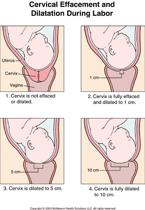 Most people tend to focus on the dilation number, but effacement is just as important. but first, what is. how to check your cervix