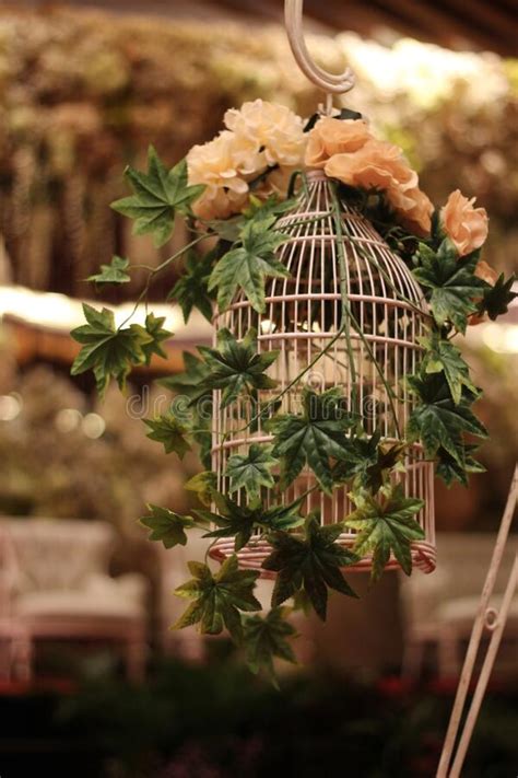 Explore several of these ideas before deciding on a design. Bird Cage For Wedding Decoration Stock Image - Image of ...