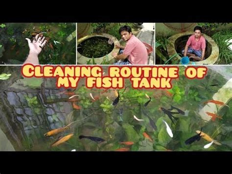 How to clean a plastic fish tank. CLEANING ROUTINE OF MY FISH TANK || HOW TO CLEAN OUT DOOR ...