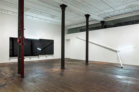 Cabrita reis is inspired by everyday life. Pedro Cabrita Reis: The Field at Peter Freeman, Inc