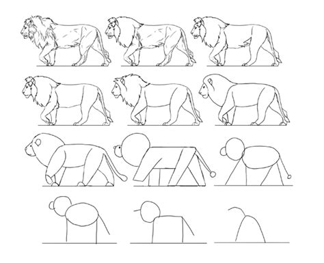 You will soon experience that it is easy to draw animals. How to Learn to Draw: Stage Four, Style