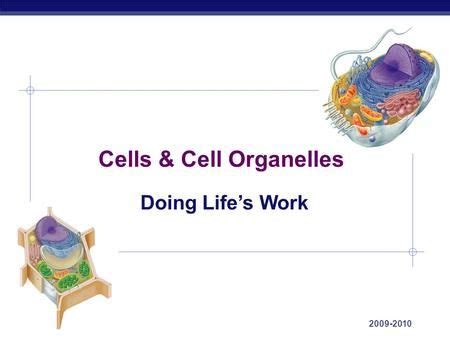 Maybe you would like to learn more about one of these? Cells & Cell Organelles Published byDarion Brainerd ...