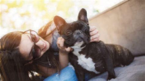 Does My Puppy Think I'm His Mother? | Healthy Paws