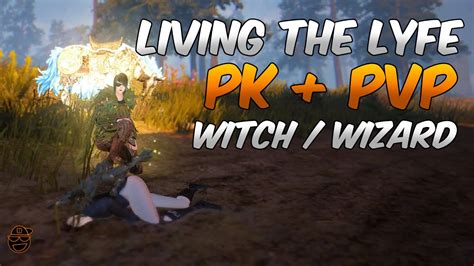 They have chests on camels in the silk road, and they have been using camels as transport of goods, i think that you should put chests on camels. Black desert witch pvp guide