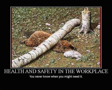 You don't need to know the whole alphabet of safety. Funny Safety Quotes. QuotesGram