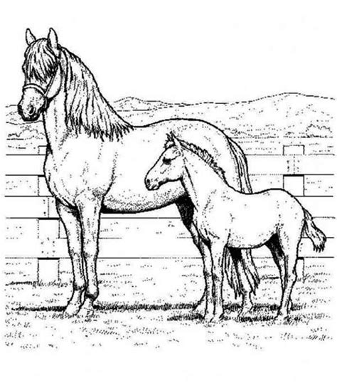 Or, you can color online on our site. Picture of Horse and Baby Horse in Horses Coloring Page ...