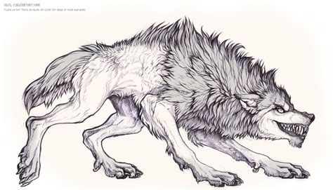 Posts about werewolf written by omega. Werewolf Head Drawing at PaintingValley.com | Explore ...