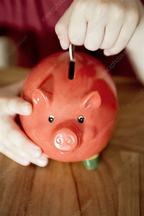 Piggyvest formerly known as piggybank.ng is an online platform that help people save money to meet their goals. Money being put in a piggy bank - Stock Image - F003/8976 - Science Photo Library