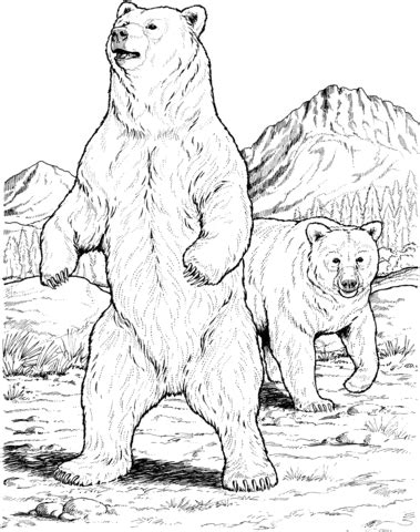 Big bears, small bears, pink bears and blue bears, yogi bear and pooh bear, wild bears and cuddly teddy bears. Click to see printable version of Two Black Bears Coloring ...