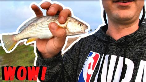 Contact garie surf life congratulations garie for winning most awards per operational area 2019/2020. Fishing Newport Beach 2020 (Part 2 ) *Drone Footage ...