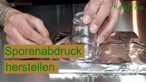 Dann wissen sie genau, welche mit einem solchen anbaukit wissen sie genau, welche arten sie in ihr zuhause bringen. Sporenabdruck herstellen - Pilze zuhause selber züchten ...