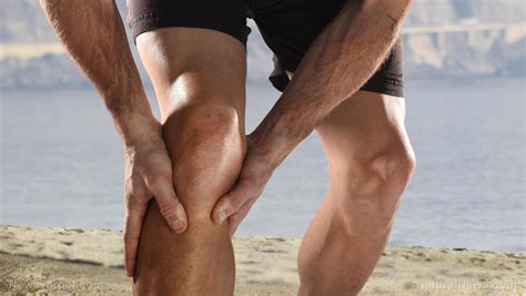 An aerobic exercise program can be tailored to an. 5 Low-impact exercises to help ease knee pain