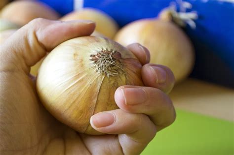 Onion powder in particular is in everything from soup to baby food. How to Tell If an Onion Is Bad | LEAFtv