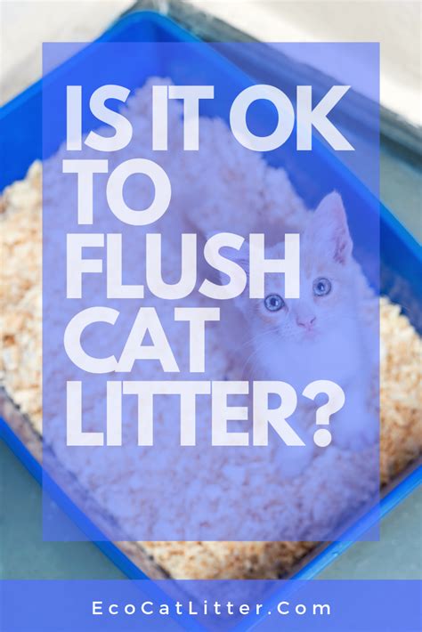 We cover the top rated clay, crystal, and natural cat litters, plus literally every other category! Clay Litter Vs. Natural Litter