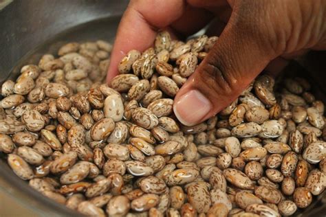 Drain the beans and dump into slow cooker. Pin on Vegetables ~ Beans ~ Dried