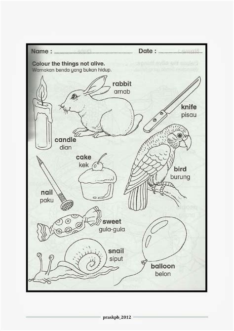 Benda hidup dan benda mati. Tabika Kemas Nor: LEMBARAN KERJA SAINS