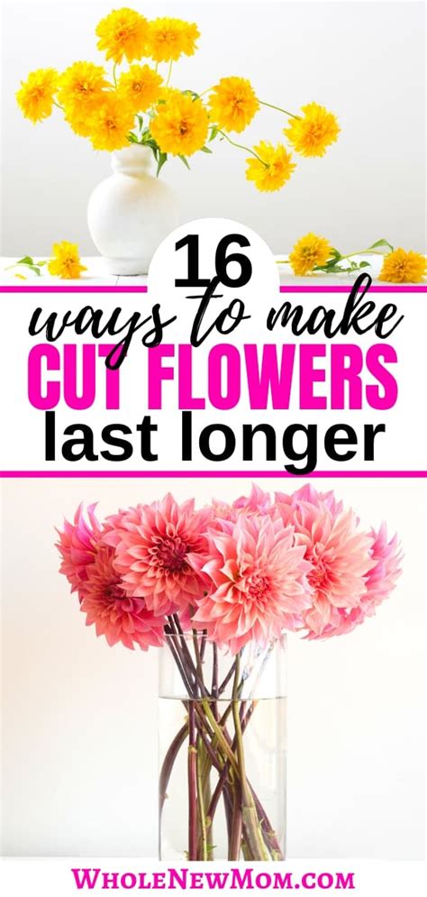 But a few points bear repeating. How to Make Flowers Last Longer - Plus the BEST Method of All