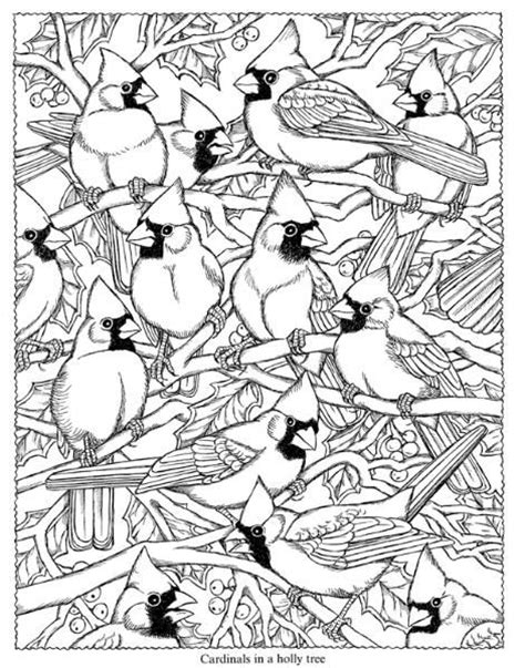 Anti stress coloring pages in anticipation of the christmas holidays, it's so nice to make hot tea, climb into a cozy armchair, pull a plate of tangerines closer to you and start painting awesome images. cardinals | ADVANCED COLORING BIRDS BUTTERFLIES | Pinterest